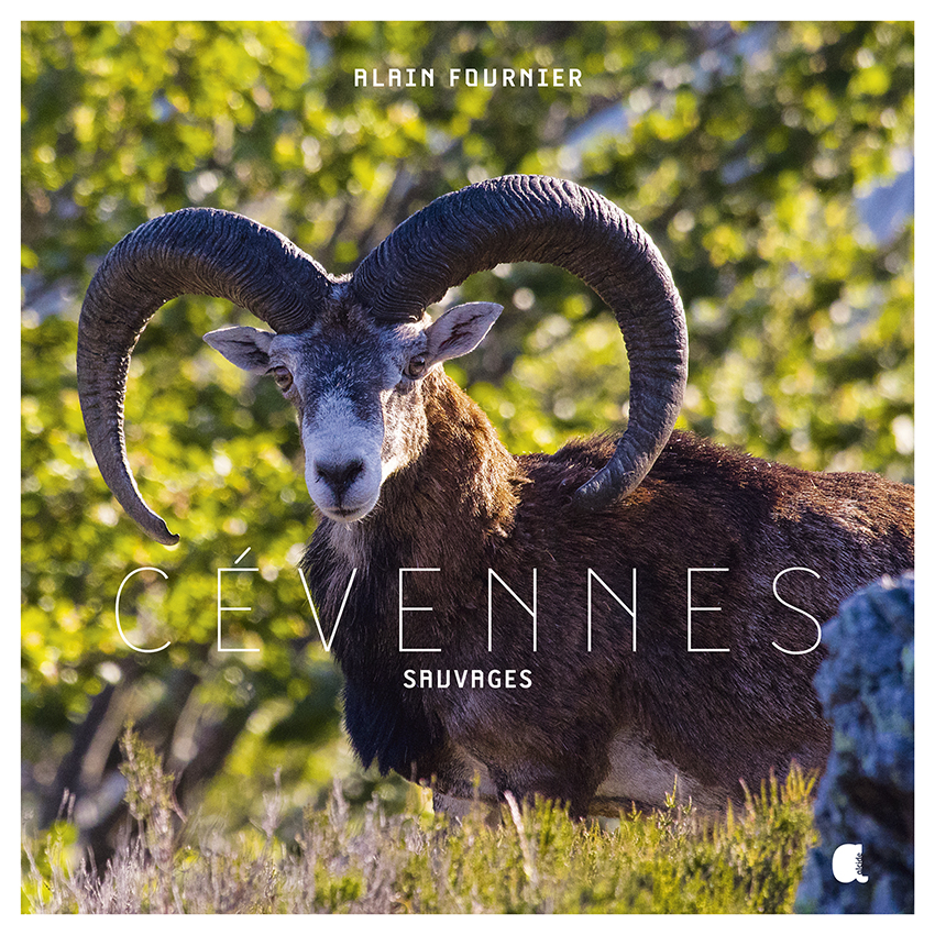 Cévennes sauvages