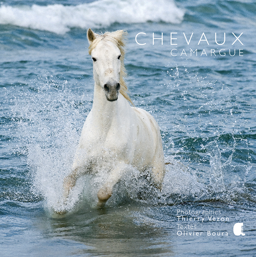 Chevaux Camargue