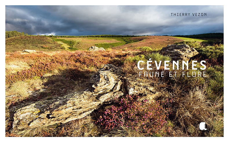 Cévennes Faune et Flore